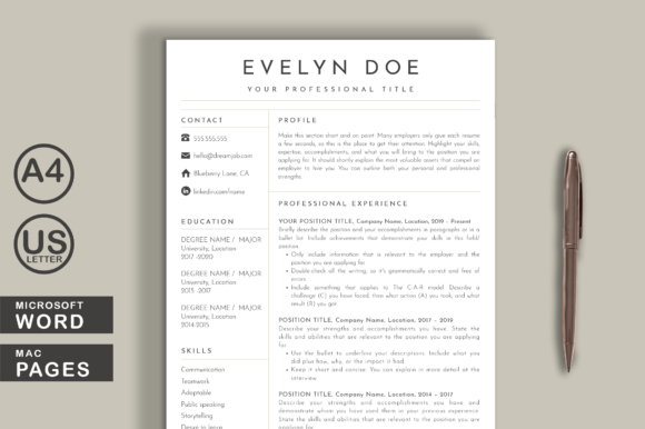 Download Clean Resume Template Word Pages - Resume template Collection